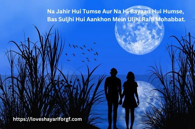 Love Shayari in Hindi-14